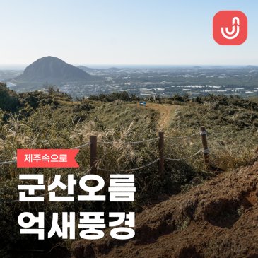 제주도 억새 명소 제주 군산오름 주차장 소요시간