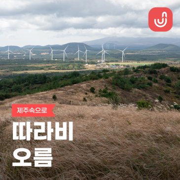 제주 동쪽 가볼만한곳 11월 억새 명소 따라비오름 가을 풍경